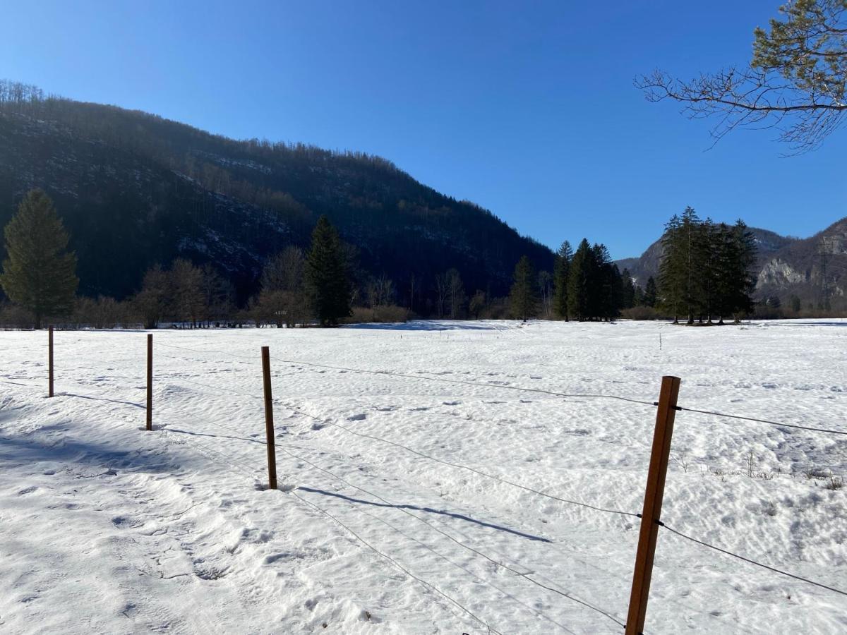 Apartmaji Rupnik Bohinjska Bistrica Eksteriør bilde