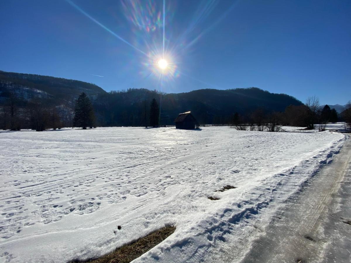 Apartmaji Rupnik Bohinjska Bistrica Eksteriør bilde